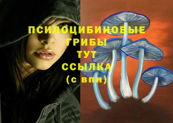 дживик Арсеньев