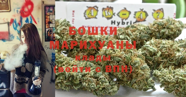 spice Балахна