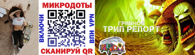 Псилоцибиновые грибы мицелий  Купить закладки  Новотроицк 